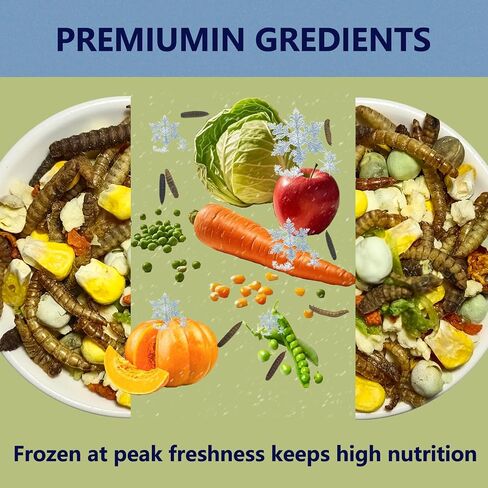 JADINGSFARM Fruity Buffet Blend Diet, 4.4 oz Food for Hermit Crabs, All Natural Hermit Crab Food, Hermit Crab Treats, High Protein & Nutrient Blend Diet of Oats, Blueberries, Strawberry, Banana, Sprouted Seeds Mix for Hermit Crabs. in Kuwait