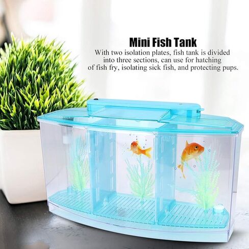Mini Fish Box, Plastic Aquarium Isolation Box Acrylic Breeding Hatchery Small Fishes Incubator Mini Fish with Three Divisions and LED Light(Purple) in Kuwait