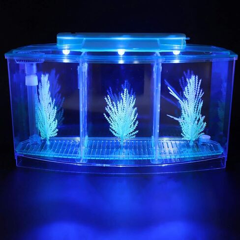 Mini Fish Box, Plastic Aquarium Isolation Box Acrylic Breeding Hatchery Small Fishes Incubator Mini Fish with Three Divisions and LED Light(Purple) in Kuwait