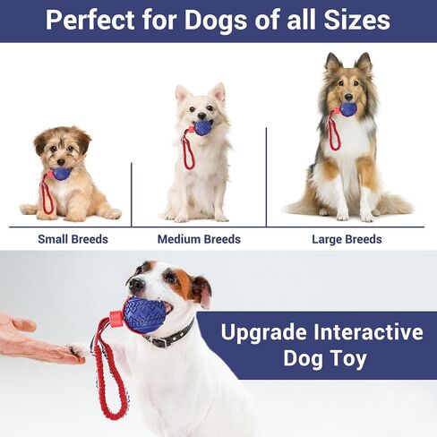 JAKPAK Dog Toys Dog Ball Interactive Dog Ball Rope Toy for Puppy Teething Chew Dogs Ball with Rope Kitten Dog Ball for Medium and Small Dog Ball with Rope for Tug of War, Training, Fetch(Red) in Saudi Arabia