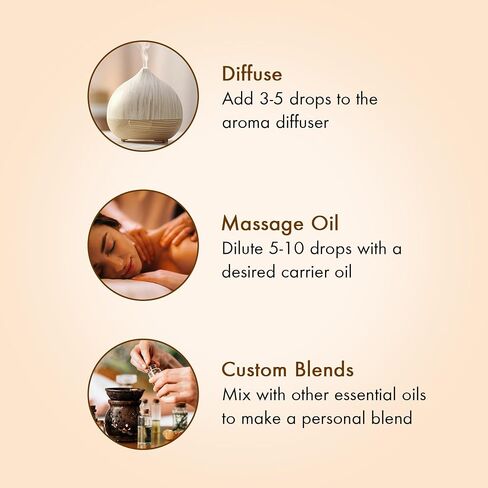 مجموعة الزيوت العطرية العضوية من Majestic Pure USDA للناشرين والعلاج العطري والعناية المنزلية وصناعة الشموع ومرطبات الهواء والهدايا - النعناع واللافندر والأوكالبتوس وشجرة الشاي وعشب الليمون - (5 مل × 6) in Kuwait