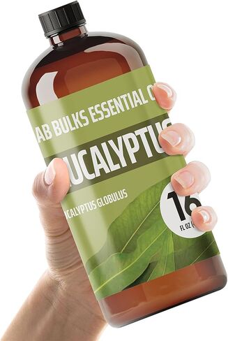 زجاجة زيت الأوكالبتوس العطري من Lab Bulks سعة 16 أونصة، للناشرين والرعاية المنزلية والشموع والعلاج العطري ورذاذ زيت الأوكالبتوس - عبوة واحدة in Saudi Arabia