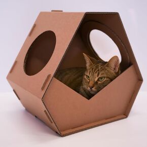 CATBORKE CAT HOUSE للقطط والقطط الداخلية - شقة القطة الهندسية القابلة للطي ، شقة قطة خفيفة الوزن ودائمة قطة سرير سرير (14.80 "× 16.57")