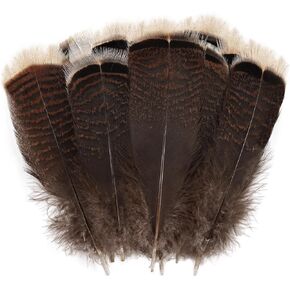 Daieeparty 12pcs Natural Color Wild Turkey Tails Feathers 10-12inch for DIY Crafts Home Wedding Party Halloween Costume Hat Decoration