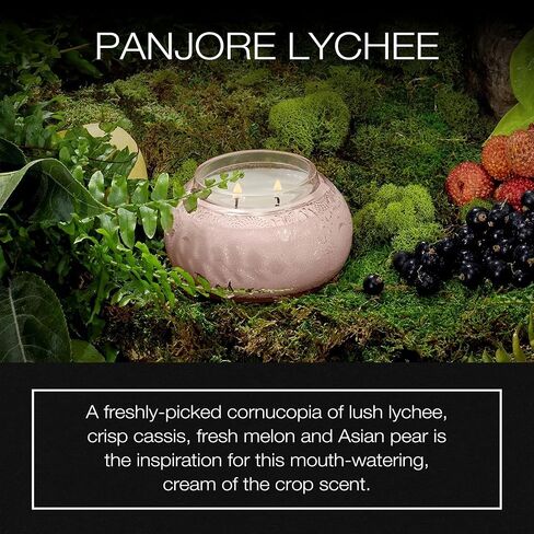 Voluspa Santal Vanille Candle | Embossed Glass Chawan Bowl | 14 Oz. | 50 Hour Burn Time | Coconut Wax and Natural Wicks for a Cleaner Burn | Vegan in Saudi Arabia