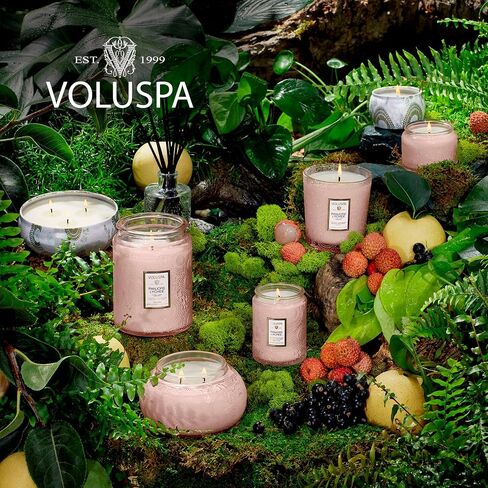 Voluspa Santal Vanille Candle | Embossed Glass Chawan Bowl | 14 Oz. | 50 Hour Burn Time | Coconut Wax and Natural Wicks for a Cleaner Burn | Vegan in Saudi Arabia