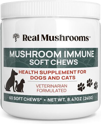 Hip and Joint Supplement for Dogs and Cats - Real Mushrooms Mobility Chews -Green Lipped Mussel Powder and Organic Ergo Gold Vitamins for Flexibility, Mobility, Hip and Joint Support (240 ct) in Saudi Arabia