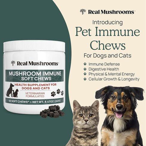 Hip and Joint Supplement for Dogs and Cats - Real Mushrooms Mobility Chews -Green Lipped Mussel Powder and Organic Ergo Gold Vitamins for Flexibility, Mobility, Hip and Joint Support (240 ct) in Saudi Arabia