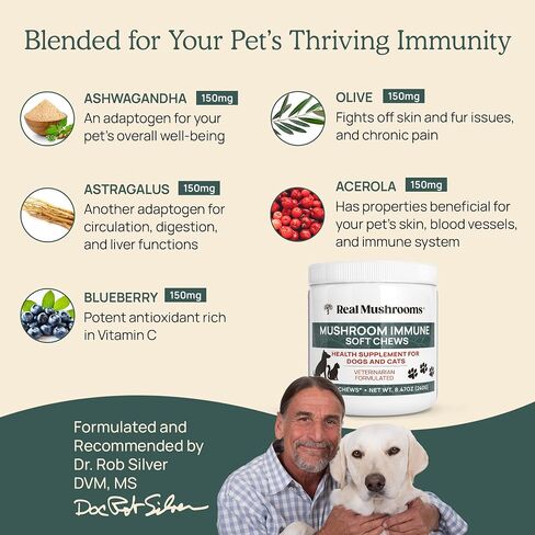 Hip and Joint Supplement for Dogs and Cats - Real Mushrooms Mobility Chews -Green Lipped Mussel Powder and Organic Ergo Gold Vitamins for Flexibility, Mobility, Hip and Joint Support (240 ct) in Saudi Arabia