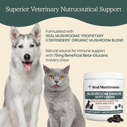Hip and Joint Supplement for Dogs and Cats - Real Mushrooms Mobility Chews -Green Lipped Mussel Powder and Organic Ergo Gold Vitamins for Flexibility, Mobility, Hip and Joint Support (240 ct) in Saudi Arabia