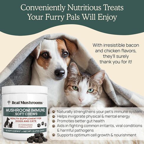 Hip and Joint Supplement for Dogs and Cats - Real Mushrooms Mobility Chews -Green Lipped Mussel Powder and Organic Ergo Gold Vitamins for Flexibility, Mobility, Hip and Joint Support (240 ct) in Saudi Arabia