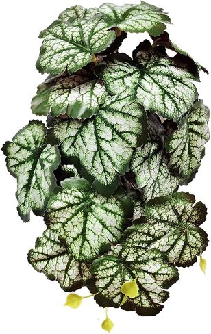 Woyrise Reptile Plants, Terrarium Hanging Plant Vines, Artificial Leaves with Suction Cup, Bearded Dragon Tank Accessories for Gecko Lizard Snake Frog Tortoise Decorations - Codiaeum Variegatum in Saudi Arabia