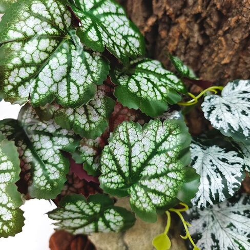 Woyrise Reptile Plants, Terrarium Hanging Plant Vines, Artificial Leaves with Suction Cup, Bearded Dragon Tank Accessories for Gecko Lizard Snake Frog Tortoise Decorations - Codiaeum Variegatum in Saudi Arabia