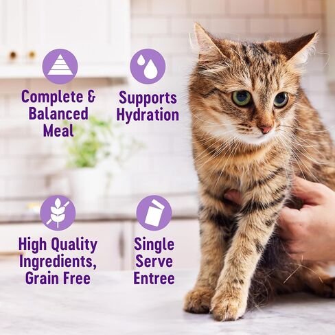 Wellness Appetizing Entrées Flaked & Shredded Adult Wet Cat Food, Natural, Protein-Rich, Grain Free, 2.8 Ounce Pouch, 8 Pack (Seafood & Poultry Variety Pack) in Saudi Arabia