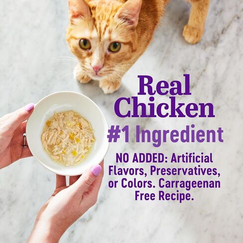 Wellness Appetizing Entrées Flaked & Shredded Adult Wet Cat Food, Natural, Protein-Rich, Grain Free, 2.8 Ounce Pouch, 8 Pack (Seafood & Poultry Variety Pack) in Saudi Arabia