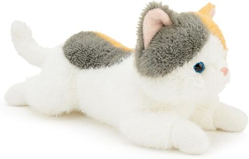 القط محشو بالحيوان قسط القسط المحشو لأعمار 1 وأعلى برتقالي 13.5 بوصة in Kuwait