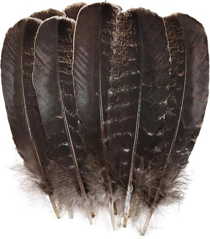 Daieeparty 12pcs Natural Color Wild Turkey Tails Feathers 10-12inch for DIY Crafts Home Wedding Party Halloween Costume Hat Decoration in Kuwait