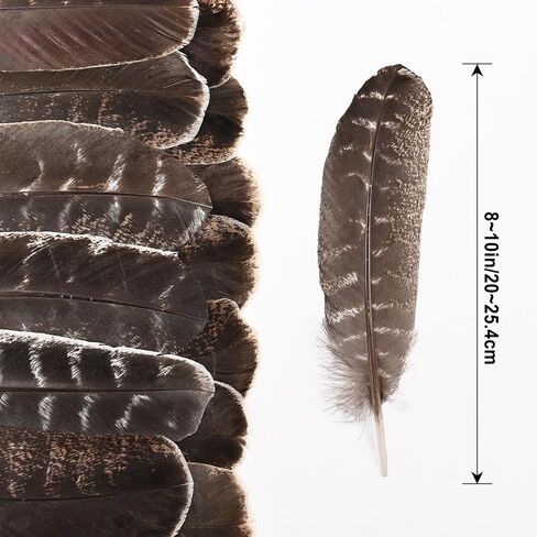Daieeparty 12pcs Natural Color Wild Turkey Tails Feathers 10-12inch for DIY Crafts Home Wedding Party Halloween Costume Hat Decoration in Kuwait