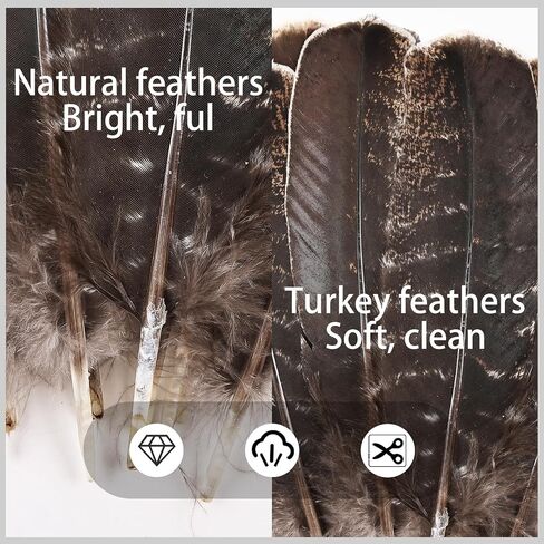 Daieeparty 12pcs Natural Color Wild Turkey Tails Feathers 10-12inch for DIY Crafts Home Wedding Party Halloween Costume Hat Decoration in Kuwait