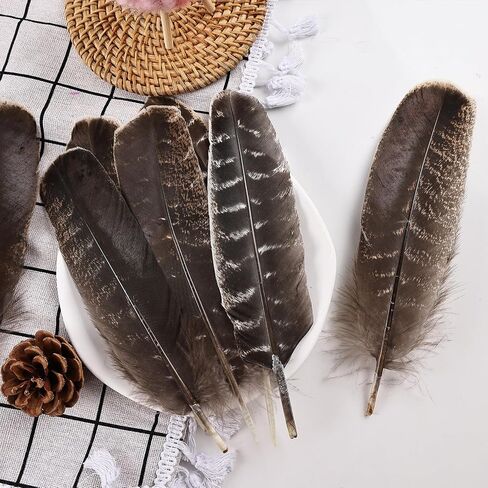 Daieeparty 12pcs Natural Color Wild Turkey Tails Feathers 10-12inch for DIY Crafts Home Wedding Party Halloween Costume Hat Decoration in Kuwait