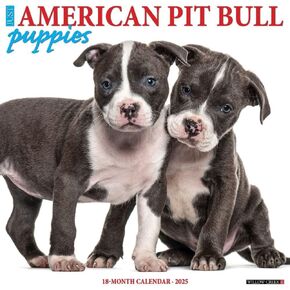 Willow Creek Press, Just Pit Bull Terrier Puppies 2025 Wall Calendar