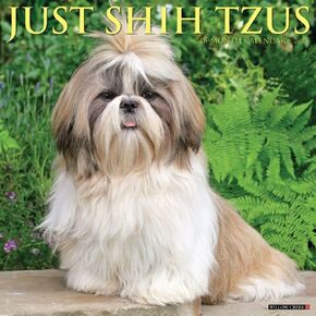 تقويمات Willow Creek Press ، Just Shih Tzus 2025 Calendar