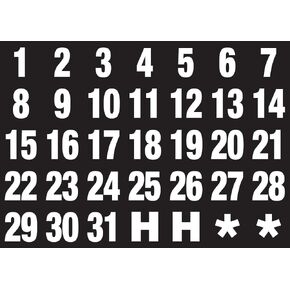 Magna Visual Calendar Dates 1" x 1" White on Black Magnets