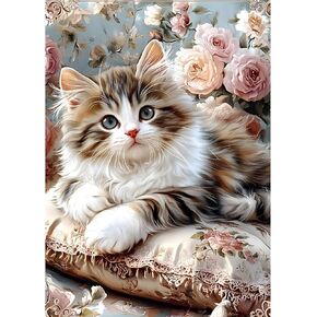 مجموعات الطلاء الماس Mxjsuacute Cat للبالغين ، وأطقم فن الماس 5D للمبتدئين ، صورة حفر مستديرة كاملة مع Diamond for Home Wall Decor