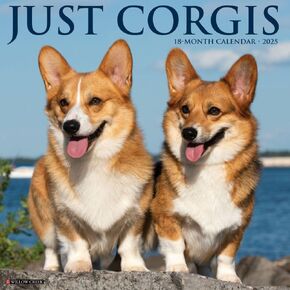 Willow Creek Press ، Just Corgis 2025 Wall Calendar