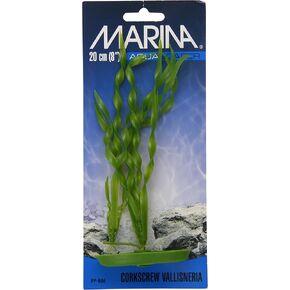 مارينا Aquascaper Corkscrew Vallisneria