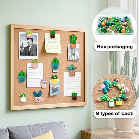 30 PCS Cactus Push Pins Cute Plant Cactus Thumbtack for Decoration Cork Process Process Photo Photo Photo Office (Plant Push PIN) in Kuwait