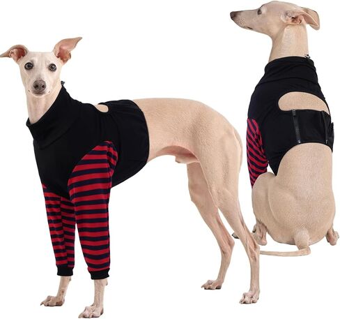 Kuoser Dog Recovery Suit for Front Legs, Dog Recovery Sleeve After Surgery, Dog Elbow Protector for Small Medium Large Dogs, Dog Joint Leg Sleeve Prevent Licking Wound Dog Cone Alternative, Black L in Saudi Arabia