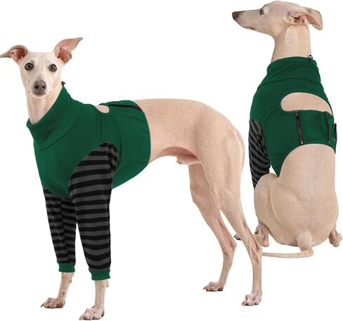 Kuoser Dog Recovery Suit for Front Legs, Dog Recovery Sleeve After Surgery, Dog Elbow Protector for Small Medium Large Dogs, Dog Joint Leg Sleeve Prevent Licking Wound Dog Cone Alternative, Black L in Saudi Arabia