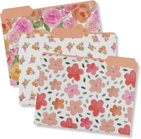 Steel Mill & Co Cute File Folders, Set of 9, Document Organizer for Filing Cabinet, Decorative Letter Size Files, Bees in Saudi Arabia