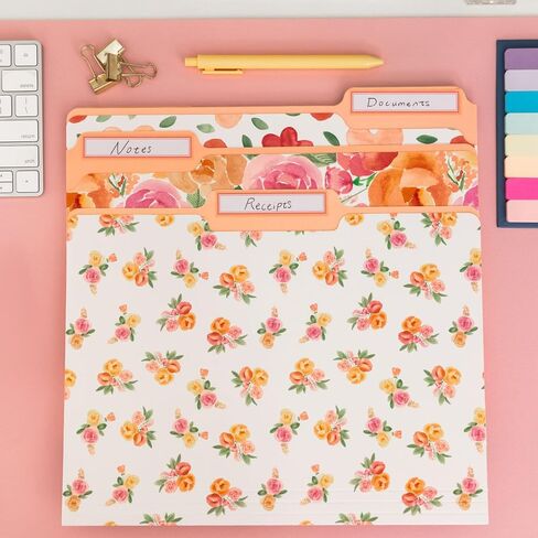 Steel Mill & Co Cute File Folders, Set of 9, Document Organizer for Filing Cabinet, Decorative Letter Size Files, Bees in Saudi Arabia