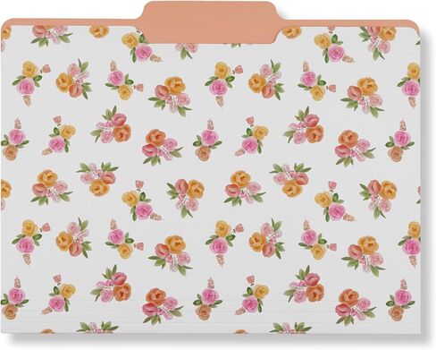 Steel Mill & Co Cute File Folders, Set of 9, Document Organizer for Filing Cabinet, Decorative Letter Size Files, Bees in Saudi Arabia