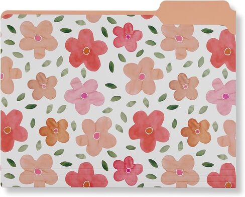 Steel Mill & Co Cute File Folders, Set of 9, Document Organizer for Filing Cabinet, Decorative Letter Size Files, Bees in Saudi Arabia