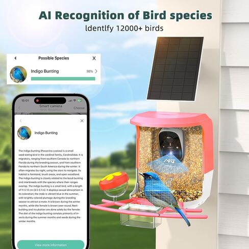 Smart Bird Feeder with Camera with AI Identify Bird Species and Solar Panel, Bird Feeder with Camera, Auto Capture Bird Videos, Bird Camera Motion Detection, Smart Bird Feeder Color Night Vision in Saudi Arabia