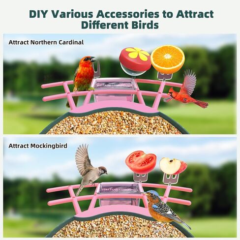 Smart Bird Feeder with Camera with AI Identify Bird Species and Solar Panel, Bird Feeder with Camera, Auto Capture Bird Videos, Bird Camera Motion Detection, Smart Bird Feeder Color Night Vision in Saudi Arabia