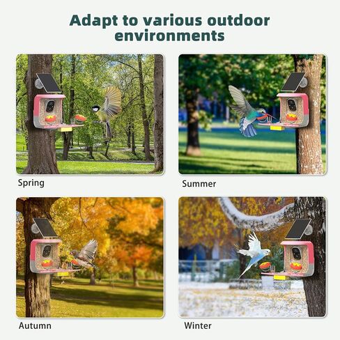 Smart Bird Feeder with Camera with AI Identify Bird Species and Solar Panel, Bird Feeder with Camera, Auto Capture Bird Videos, Bird Camera Motion Detection, Smart Bird Feeder Color Night Vision in Saudi Arabia
