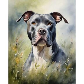 Zuvrdiai DIY Paint بأرقام للبالغين Pitbull DIY رسم رسم زيت القماش مع فرش الزخارف الفنية 40x50 سم ، لا إطار