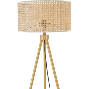 GLOBE Electric 65907 68" Floor Lamp, Light Faux Wood, White Pattern Shade, On/Off Rotary Switch on Socket