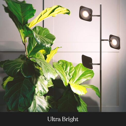 Brightech Tree Floor Lamp for Living Rooms & Offices, Dimmable Standing Lamp for Bedroom Reading, LED Spotlight Floor Lamp, Tall Lamp with Adjustable Panels for Minimal Space Use - Bronze in Kuwait