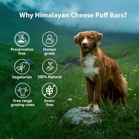 Himalayan Cheese Puff Bars | 100% Natural | Training Treats | Grain & Gluten Free | Human Grade (2.47oz) in Saudi Arabia