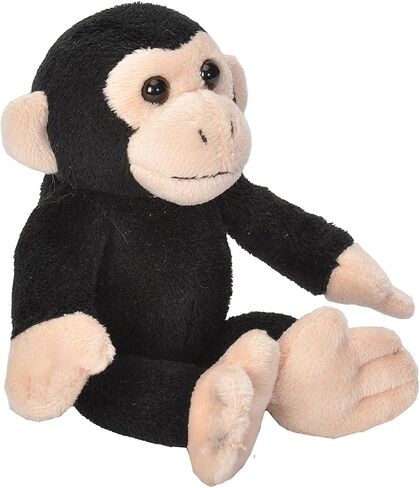Wild Republic Pocketkins Eco Chimpanzee ، حيوان محشو ، 5 بوصات ، لعبة أفخم ، مصنوعة من مواد معاد تدويرها ، ودية للبيئة in Kuwait