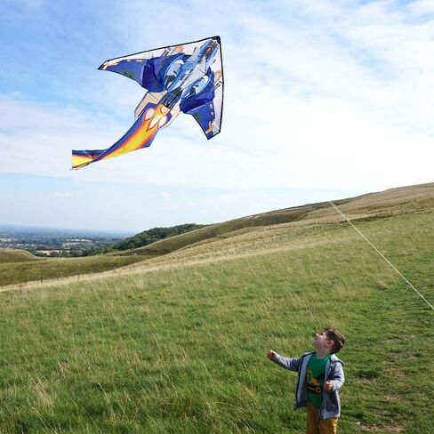 Mint's Colorful Life Airplane Kite for Kids & Adults, Easy to Fly Plane Kite for Boys & Girls, Best Beach Kite for Beginners with 300ft Kite String and Long Tail in Kuwait