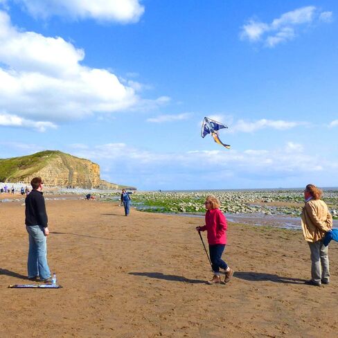 Mint's Colorful Life Airplane Kite for Kids & Adults, Easy to Fly Plane Kite for Boys & Girls, Best Beach Kite for Beginners with 300ft Kite String and Long Tail in Kuwait