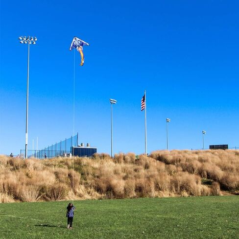 Mint's Colorful Life Airplane Kite for Kids & Adults, Easy to Fly Plane Kite for Boys & Girls, Best Beach Kite for Beginners with 300ft Kite String and Long Tail in Kuwait