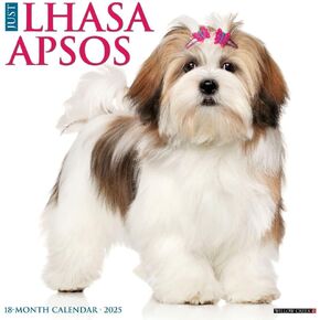 Willow Creek Press ، Lhasa Apsos 2025 Calendar