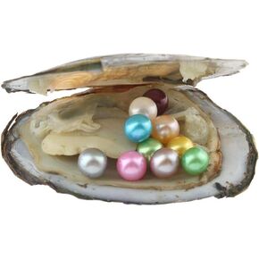Mixed Colors (Assorted) 10Pcs 7-8mm Nearly Round Cultured Freshwater Pearls in Oysters for Jewelry Making or Birthday Gifts